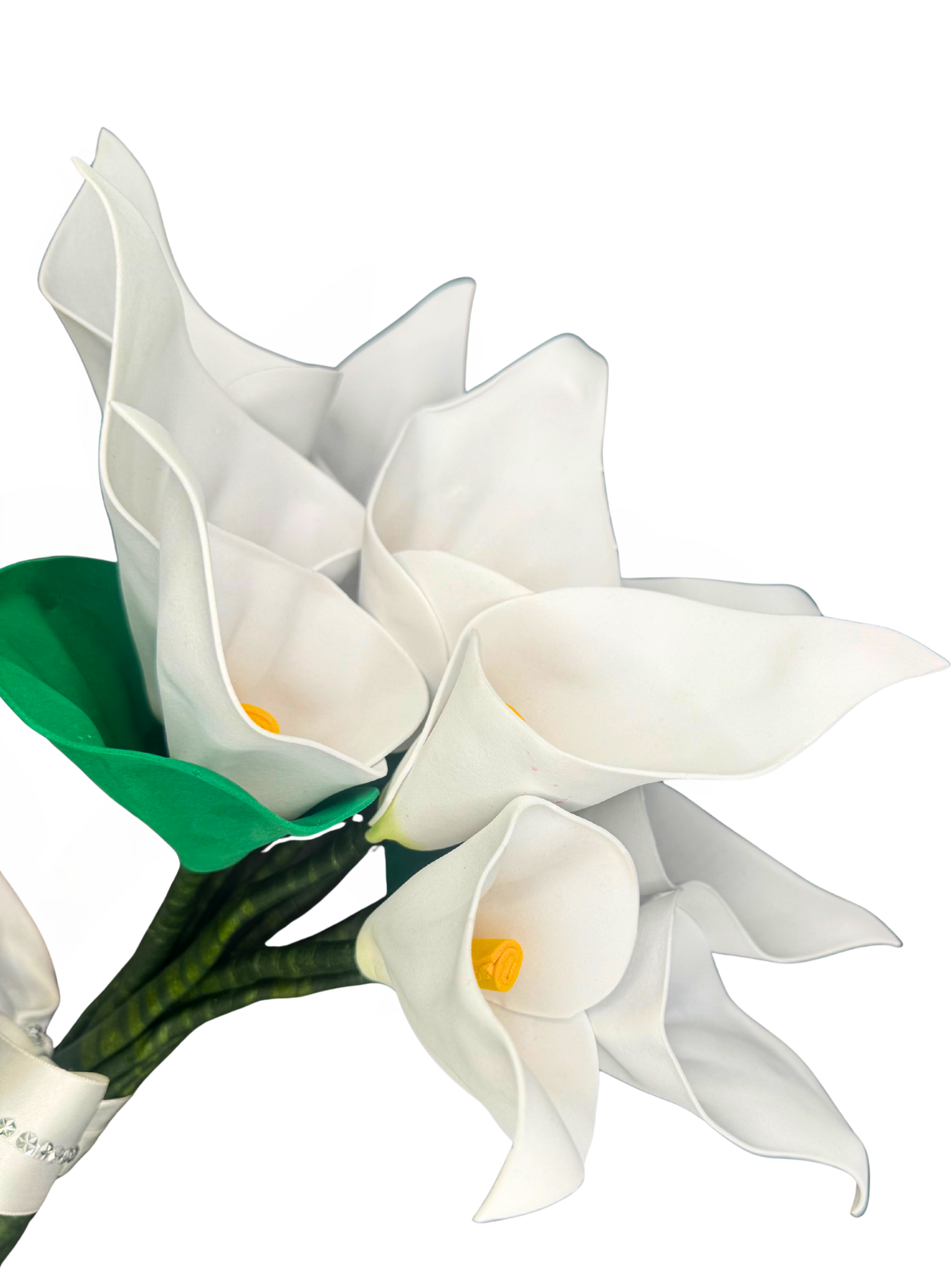 146 - Denise Castro Teixeira - EVA 1.png