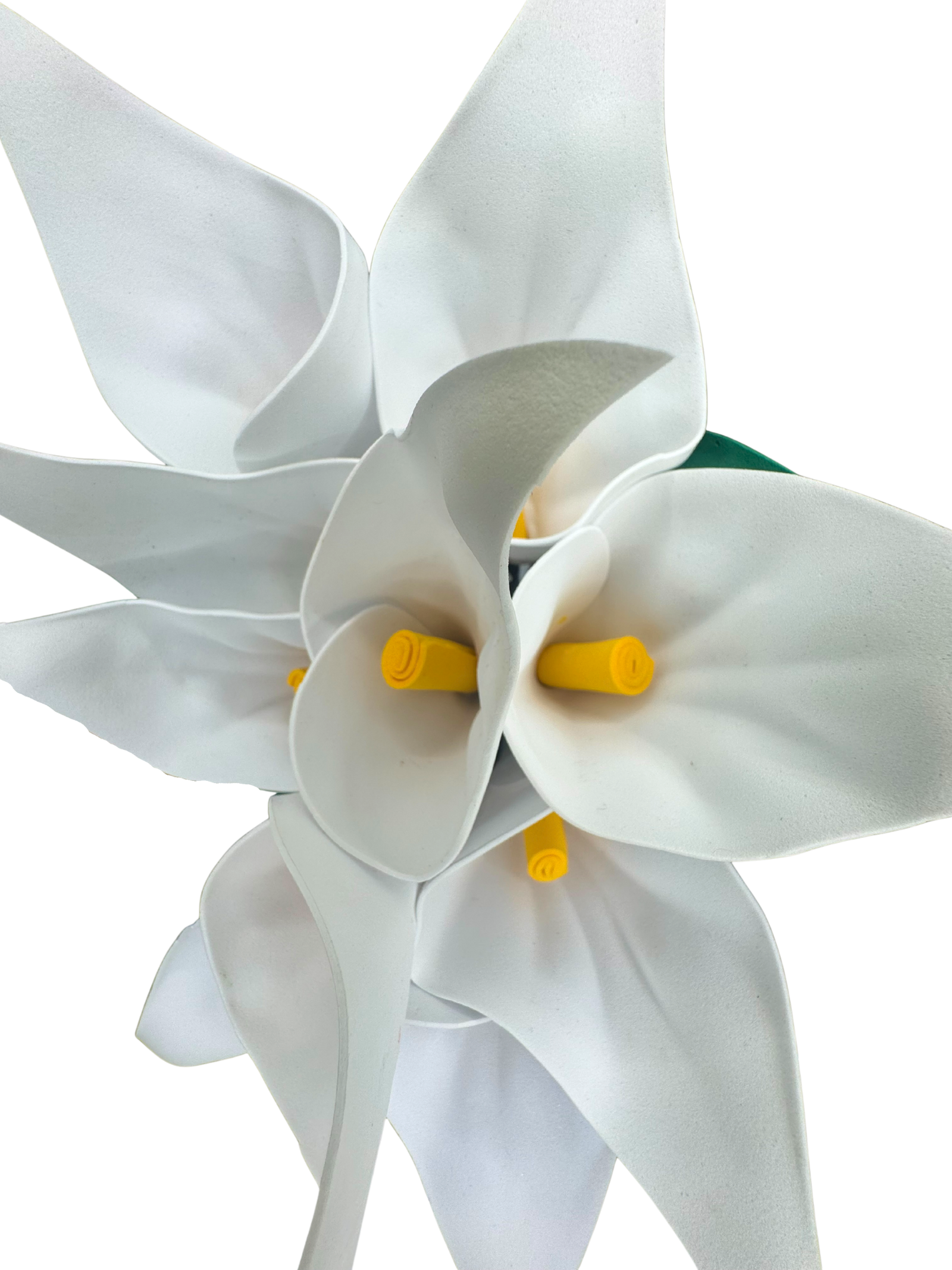 146 - Denise Castro Teixeira - EVA 2.png